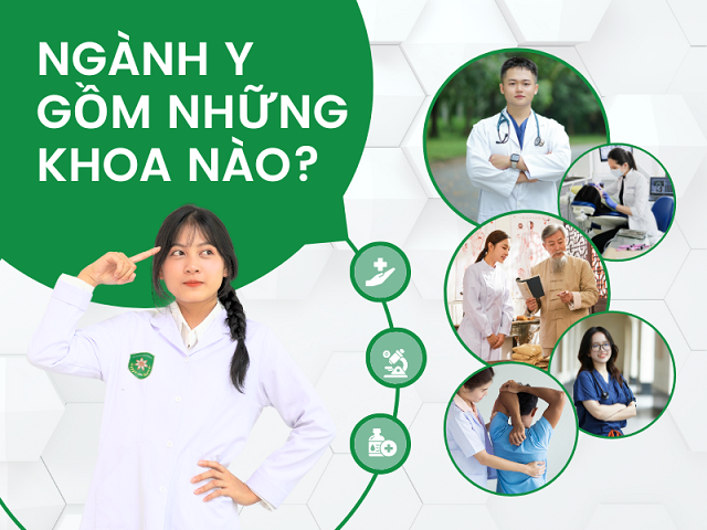 Ngành Y gồm những khoa nào?